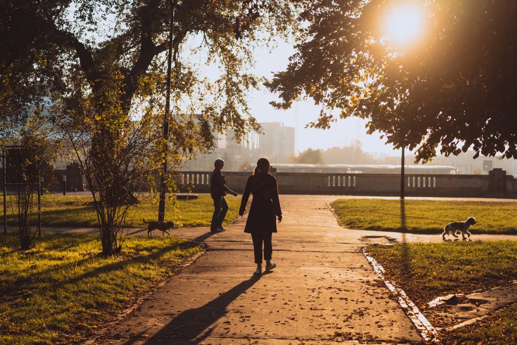People walking with their dogs at sunset in a peaceful Vancouver WA park